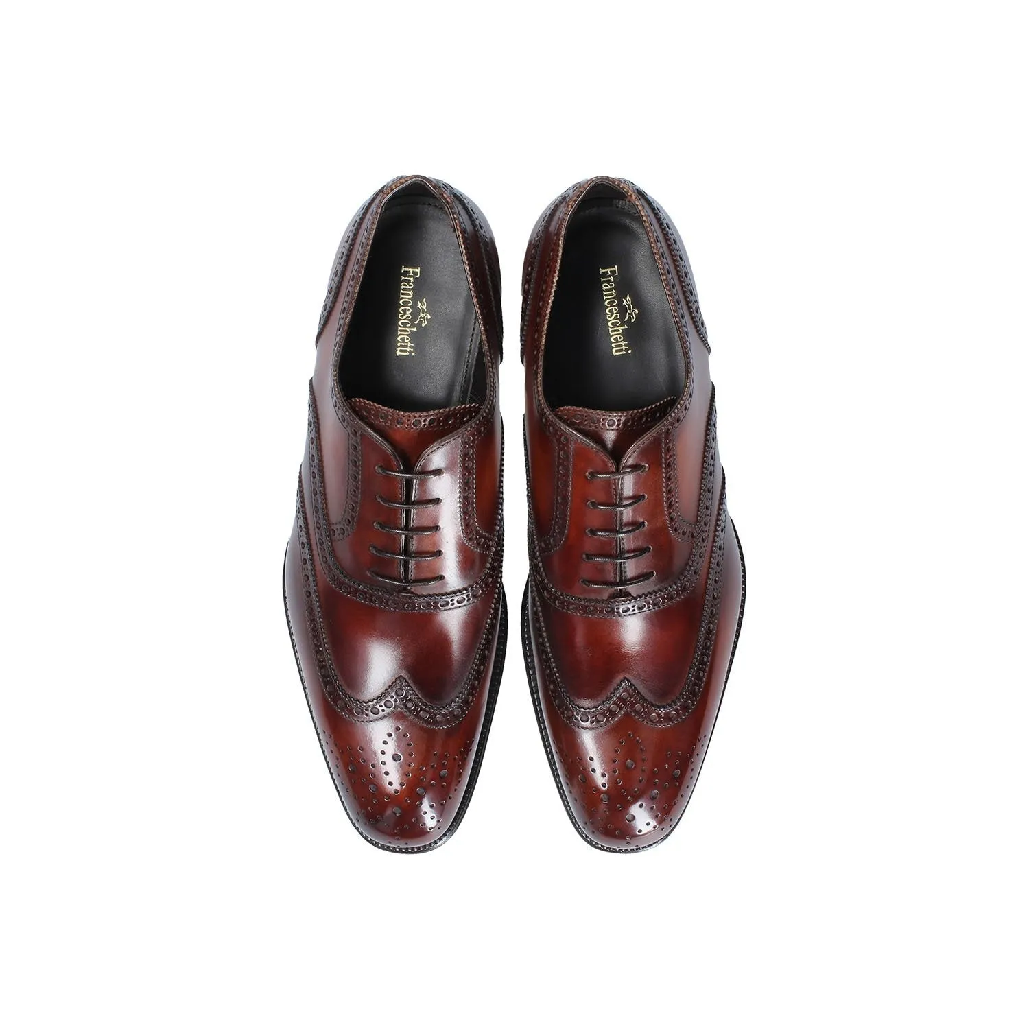 Franceschetti Nimes Men's Shoes Calf-Skin Leather Classic Wingtip Oxfords (FCCT1034)
