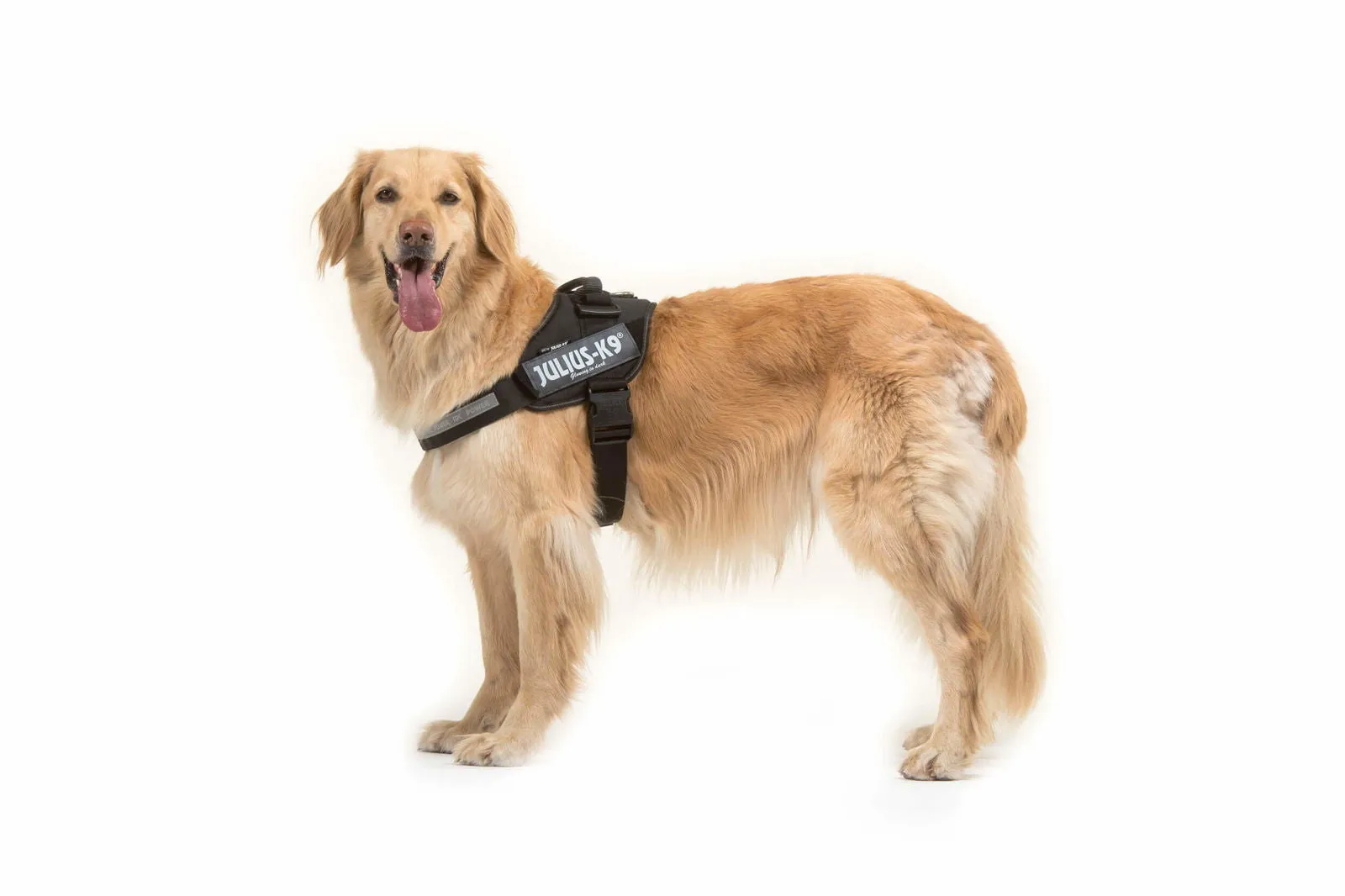 IDC® Powerharness  - Black