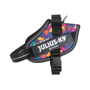 Limited Edition - Mixed Hearts Harness