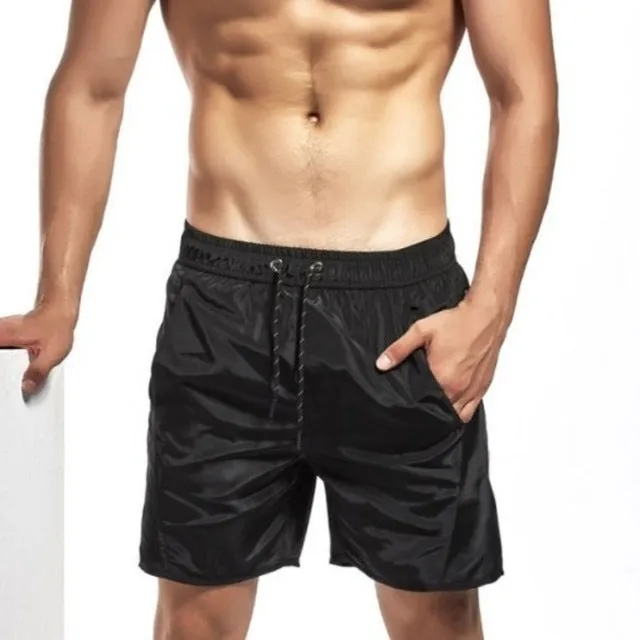 Quick Dry Swim Shorts Men